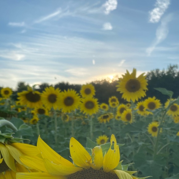 Meet your Posher, Brianna - Picture 1 of 1